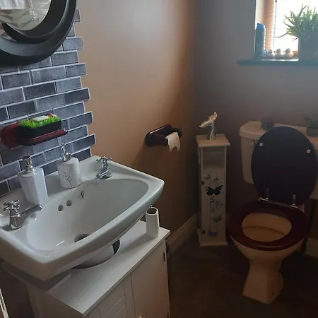 Sycamore Place Carrick-on-Suir