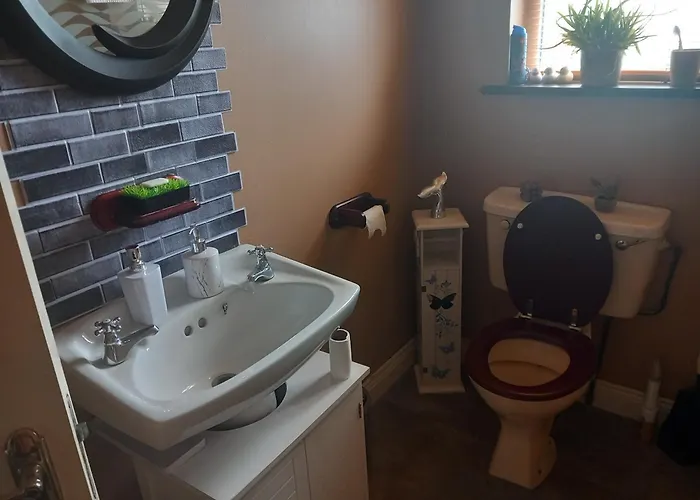 Sycamore Place Carrick-on-Suir